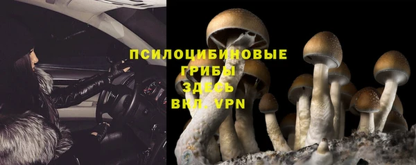экстази Алзамай