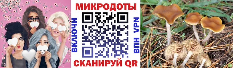 Галлюциногенные грибы прущие грибы  купить  сайты  Змеиногорск 